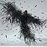 Aimer「Black Bird / Tiny Dancers / 思い出は奇麗で(通常盤)」