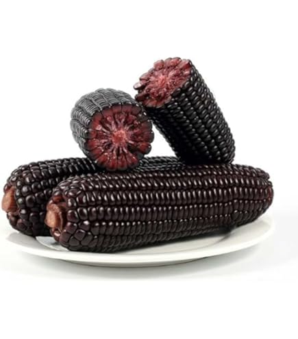 Amazon.co.jp: 黄糯玉米棒 【40点セット】モチとうもろこし 軸付き黄糯