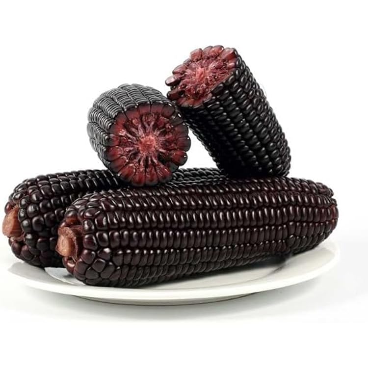 Amazon.co.jp: 黄糯玉米棒 【40点セット】モチとうもろこし 軸付き黄糯