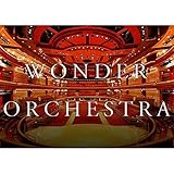 マジック道具 手品グッズ Wonder Orchestra ワンダーオーケストラ ハンディーサウンド2コイン (バイオリン)