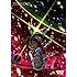 交響詩篇エウレカセブン ポケットが虹でいっぱい(DVD)