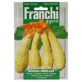 野菜の種 イボイボズッキーニ Rugosa friulana 146/54