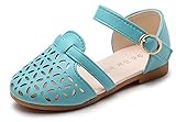 WIN 可愛い キッズ フラットシューズ 女の子 ガールズ サンダル ベビー靴 ベルクロシューズ つま先保護 透かし彫り 女児 子供 フォーマル ベビー 赤ちゃん フォーマル (内寸21cm, ブルー