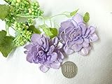 ソラーフラワー　ダリア　ライトパープル
