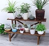 耐腐食性の木製のインテリアはしごのフラワーラックソリッドウッドのバルコニー多層木製の花の棚梅の花のポットフレーム ( 色 : #2 )