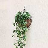 ヨーロッパスタイルの錬鉄製の花ラック屋内と屋外の壁にマウントされた花のライザー緑のローズウッドのリビングルーム屋外の壁に花の鉢の棚を吊るす ( Color : Bronze )
