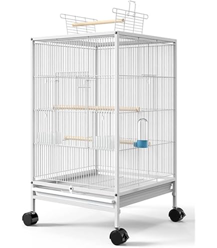 Amazon | FX-SHYQYYMZ クリアアクリル鳥かご 複数飼い大型インコ