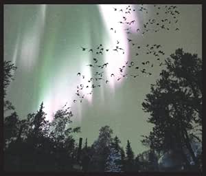 THIS TOWN NEEDS GUNS