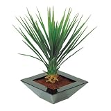 日本ビダヤコム GREEN&BERRIES 65CMユッカ&インテリアポット T0030A グリーン