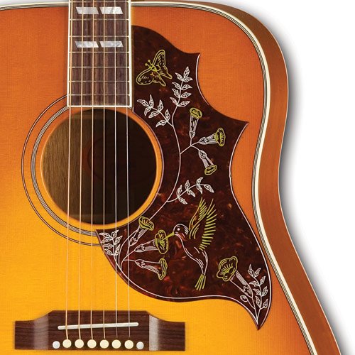 楽器屋でギブソンのハミングバードとヤイリのメイプル合板モデルを弾き比べしてきた結果