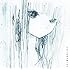 僕は透明になりたかった(初回限定盤)