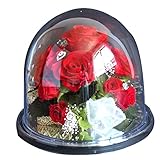 Azurosa(アズローザ) プリザーブドフラワー オルゴール プレゼント　ギフト バラ アジサイ カスミ草 ローズリーフ ラウンドミラードームL レッド