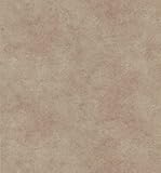 Brewster 974-60911 Mirage Vintage Legacy III Blossom Trail Wallpaper, 20.5-Inch by 396-Inch, Neutral
