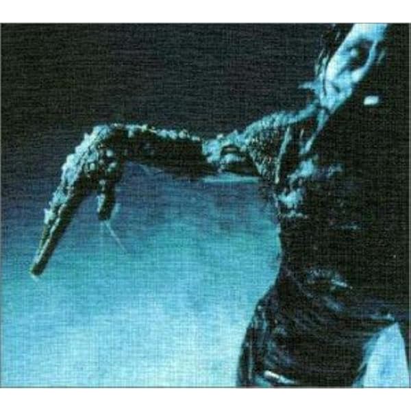 Amazon.co.jp: PRIVATE ENEMY: ミュージック