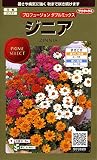 サカタのタネ 実咲花9620 ジニア プロフュージョンダブルミックス 00909620
