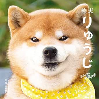 柴犬りゅうじ 本嶋由希子 写真 Kindleストア Amazon