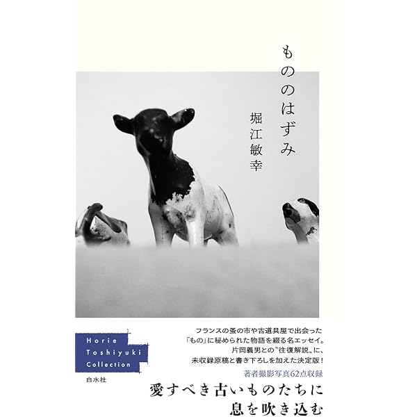 Amazon.co.jp: 中継地にて-回送電車Ⅵ (単行本) : 堀江 敏幸: 本