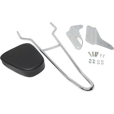 Amazon.co.jp 最新リリース: バイク用バックレスト の新着ランキングです。