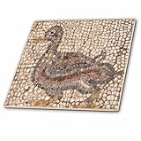 3dRose ct_51702_3 Roman Mosaic-Ephesus, Roman Ruins, Ruins, Turkey, Mosaic, Arts and Crafts, Duck Mo