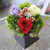 送料無料 花 プリザ ギフト 【ロンド ブラック】 プリザーブドフラワー 誕生日 プリザードフラワー バラ プリザーブドフラワー 陶器 結婚祝い 花 お見舞い フラワーギフト 花宅配 エーデルワイス花