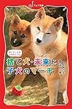 文庫 捨て犬・未来ものがたり 捨て犬・未来と子犬のマーチ (フォア文庫 C 263)