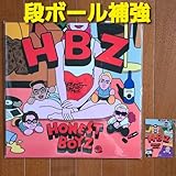 NAOTO オネストボーイズ HBZ LPレコード フォトカード付