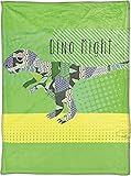 手動Pop Art T - Rex by Claudia Schoen Dye Print Plush Baby Nurseryベッド毛布sapatr 30 x 40 cm