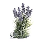 COVENT GARDEN ラベンダー・ブッシュ TG-02