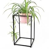Plant shelf アイロンフラワーラック、リビングルームフラワーポットラックバルコニー盆栽フレームプラントディスプレイスタンド Flower racks ( 色 : ブラック , サイズ さいず