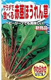 アタリヤ農園 ガーデニング用品 種 サラダで食べる赤茎ほうれん草