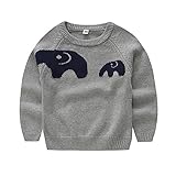 PANCY 子供服 秋冬 長袖 セーター ニット 丸首 かわいい シンプル 男の子 女の子 ゾウ(110cm,グレー)