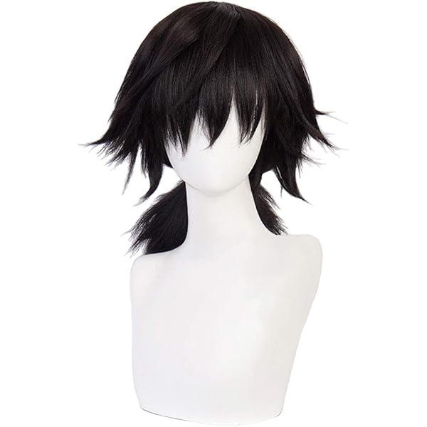 Amazon.co.jp: HIROAKIYA 冨岡義勇 コスプレ ウィッグ ウィッグ