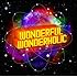 WONDERFUL WONDERHOLIC(通常盤)