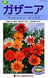 カネコ種苗 草花タネ214 ガザニア サンシャイン ミックス 10袋セット