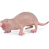 EUHELOPA ハダカデバネズミ フィギュア デバネズミ科 アニマル 8cm級 動物 おもちゃ PVC プラモデル プレミアム 置物 情景コレクション プレゼント スタチュー