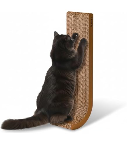 Amazon.co.jp: ペットアイ 爪とぎタワー サボテン フラワー 57×57×高さ
