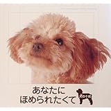 犬の十戒 ジュリアン ジュリアン 本 通販 Amazon