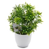 TOSSOW 人工観葉植物 フェイクグリーン 観葉植物 フェイク 造花 ミニ インテリア 世話のいらない 可愛い贈り物