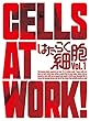 はたらく細胞 1 (完全生産限定版)[DVD]
