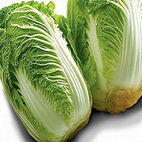 Amazon.co.jp: 【産地厳選】白菜 6玉 大 約15kg : 食品・飲料・お酒