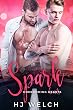 Spark (Homecoming Hearts Book 2) (English Edition)