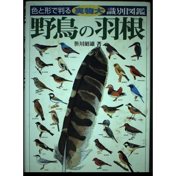 羽根図鑑 : 日本の野鳥 日本の野鳥羽根図鑑 | 笹川 昭雄 |本 | 通販 | Amazon