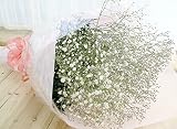 花 ギフト かすみ草とグリーン花束