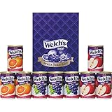 快気祝（完治） のし付き ドリンク ジュース 食品 ウェルチ １００％果汁ギフト
