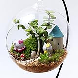 Kicode ラウンドをクリア ガラスの花瓶ハンギングボトル テラリウム水耕容器 ホームテーブルウェディングガーデンの装飾 ホルダー付き12cm