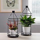 Plant shelf フラワーポットラック、植物ディスプレイスタンドデスクトップ装飾シェルフセット2ブラック Flower racks ( 色 : ブラック , サイズ さいず : 18*40cm/