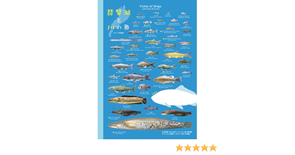 Amazon 滋賀のお魚ヨシノート 琵琶湖と川の魚b5ノート Kokuyo Kpsn Rs10 5 Bf1 ノート 文房具 オフィス用品