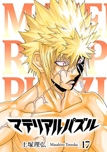 『マテリアル・パズル』17巻