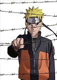 NARUTO-ig- ubhEvYySYŁzi10Ԉȏ̖Jftj [DVD]
