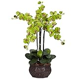 Nearly Natural 1211-GR Phalaenopsis with Decorative Vase Silk Flower Arrangement, Green [並行輸入品]